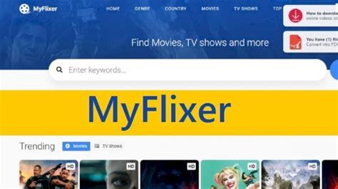 my fixer watch movies.